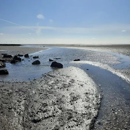 Fischkopf Mit Sauna Und Strandkorb Feriehus